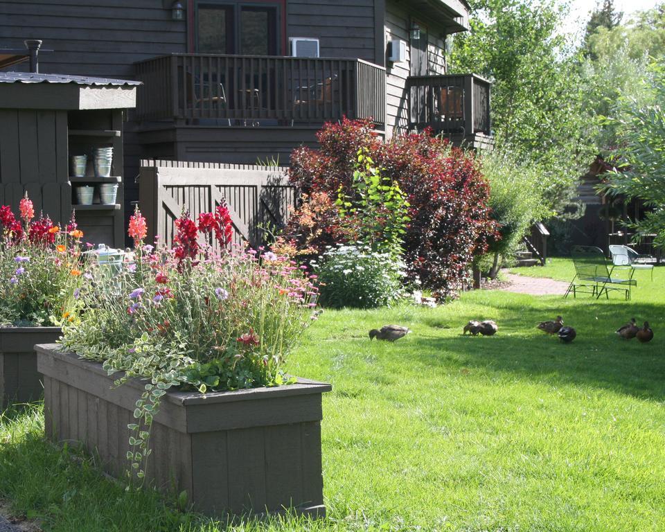 Inn On The Creek Jackson Luaran gambar